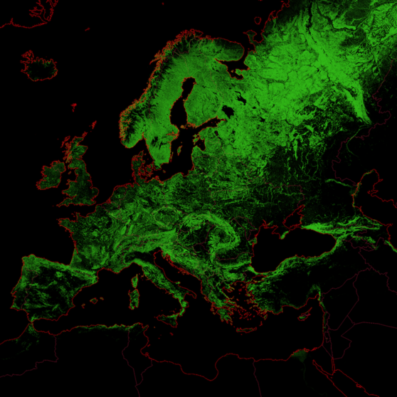 Bosques en Europa