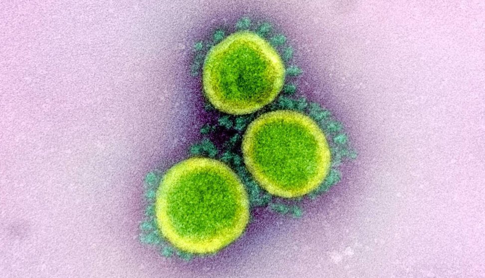 La-OMS-confirma-que-el-coronavirus-no-viaja-libremente-por-el-aire-sino-en-gotas