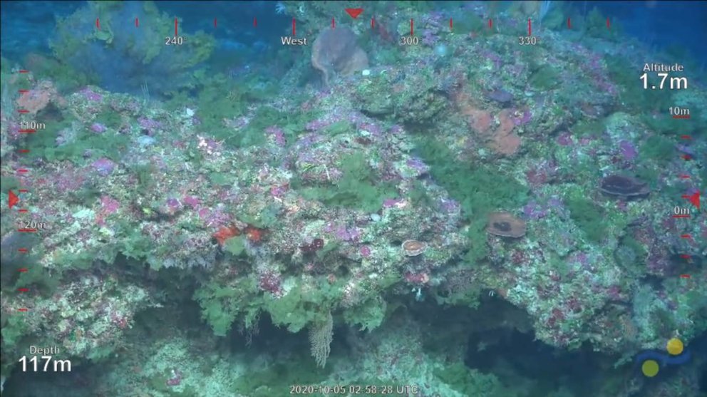 Descubierto-un-nuevo-arrecife-de-coral-en-la-Gran-Barrera-de-Australia-el-primero-en-120-anos