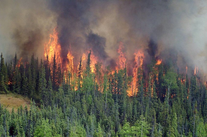 Incendios-zombis-despiertan-en-los-bosques-boreales