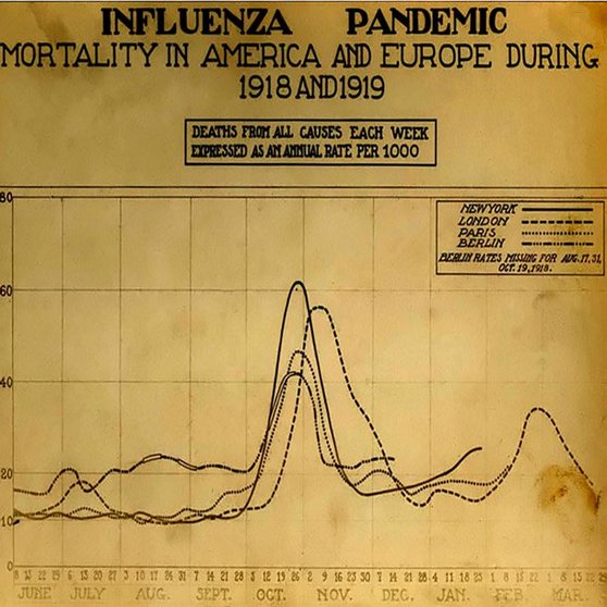 Olas de la gripe (denominada española) en America y Europa en 1918-1919