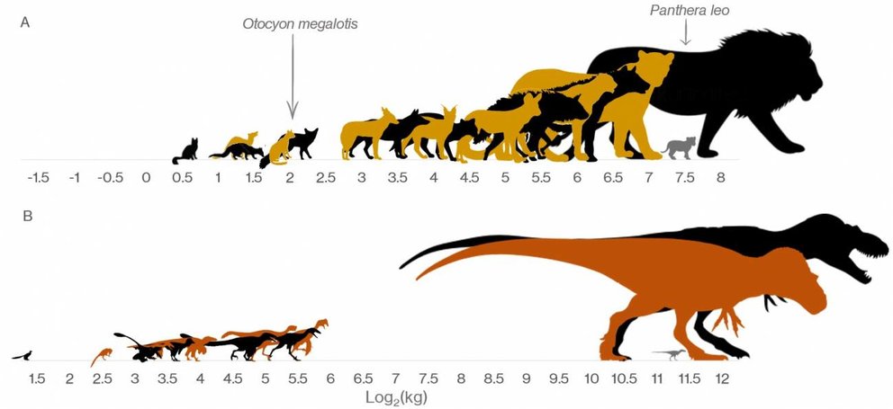 Crece-rapido-y-muere-joven-esto-explica-por-que-predominaron-los-dinosaurios-gigantes